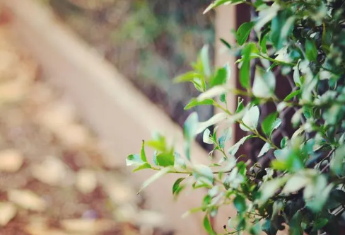 1717817892135180.png image.png