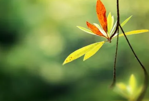 1717861639137413.png image.png