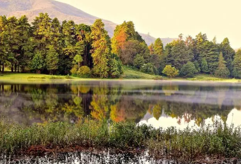 1717865812118389.png image.png