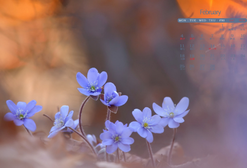 1717867816801380.png image.png