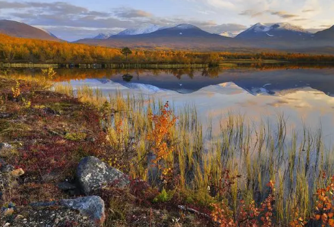 1717873159784039.png image.png