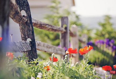 1717876091834214.png image.png