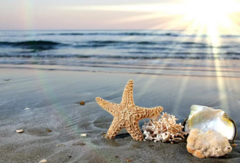 1717876425614881.png image.png