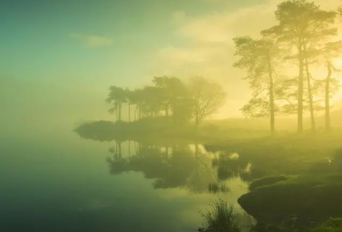 1717876591591256.png image.png