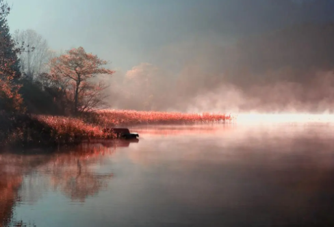 1717877759111546.png image.png