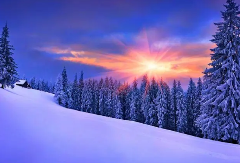 1717878926608125.png image.png