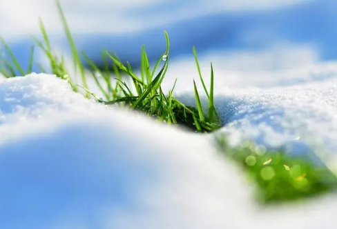 1717879260112984.png image.png