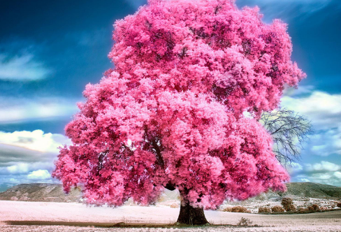 1717879427205433.png image.png