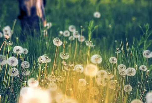 1717879594435008.png image.png