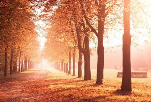 1717879928813730.png image.png