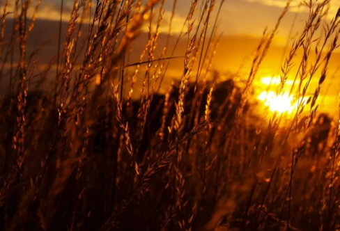 1717880928242957.png image.png