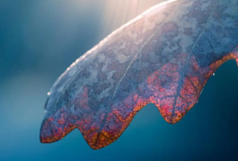 1717884765133583.png image.png