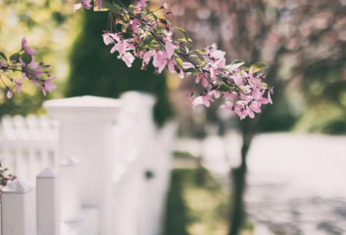 1717885432535788.png image.png