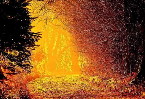 1717886099579552.png image.png