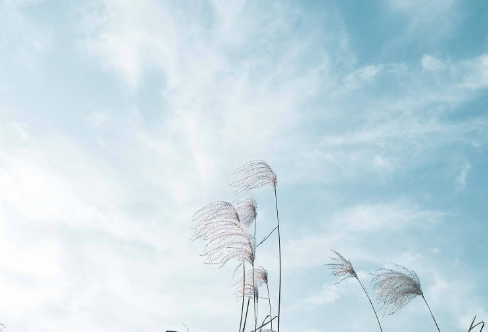 1717886266278888.png image.png