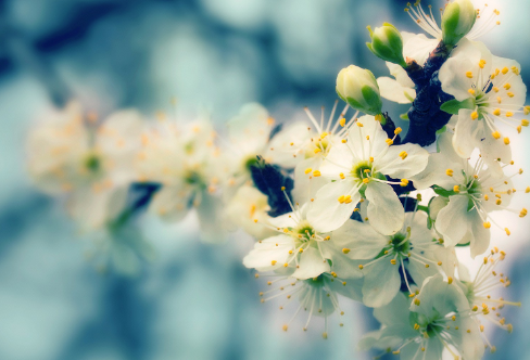 1717886433133716.png image.png