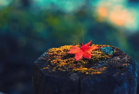 1717886600110101.png image.png