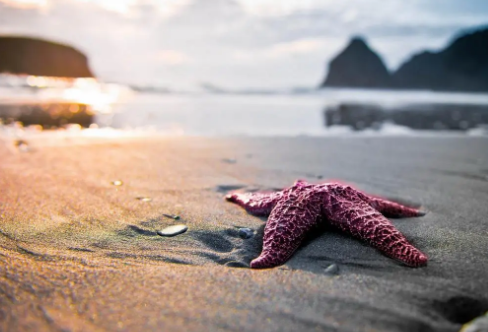 1717887267889811.png image.png