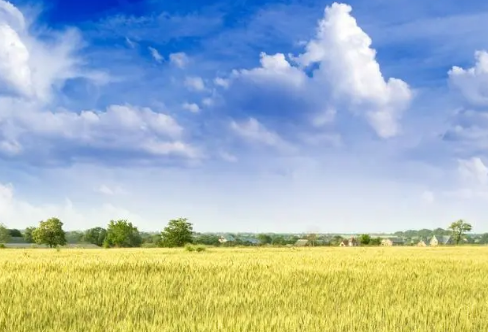 1717887434136630.png image.png