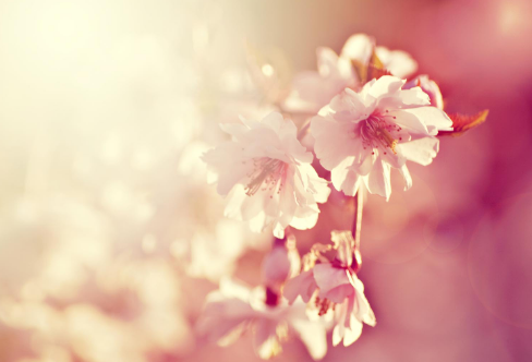 1717888101105884.png image.png