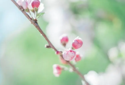 1717888602157066.png image.png