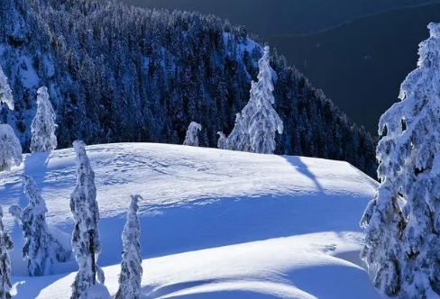 1717889269575507.png image.png