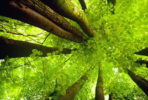 1717890438126840.png image.png