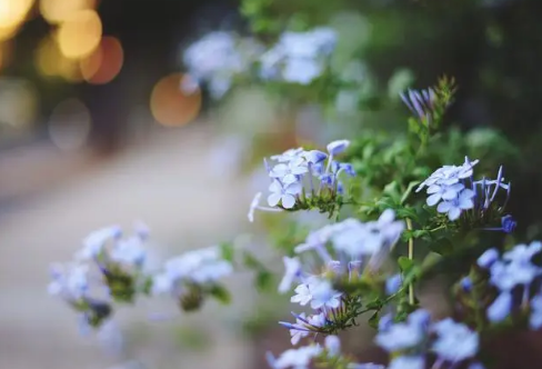 1717891772104205.png image.png