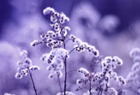 1717892606934650.png image.png