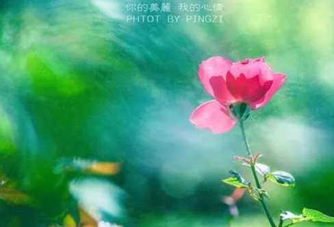 1717895108802370.png image.png