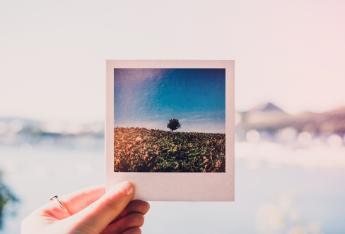 1717895274104683.png image.png