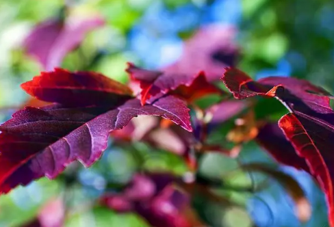 1717895441107273.png image.png