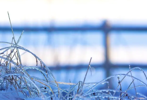 1717895942905173.png image.png