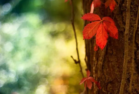 1717896943428940.png image.png