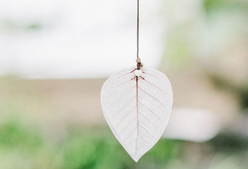 1717897610629856.png image.png