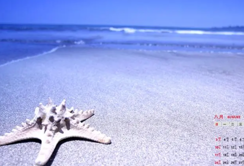 1717900779138028.png image.png