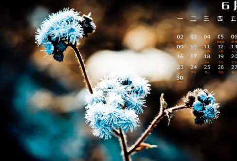 1717904616593322.png image.png