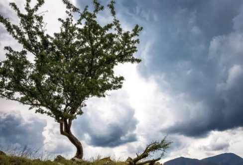 1717907619691133.png image.png