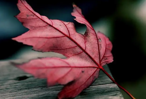 1717909287528946.png image.png