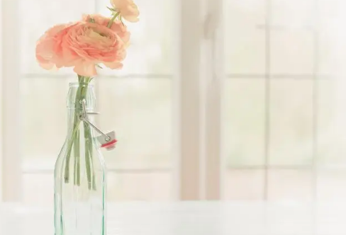 1717909620748021.png image.png