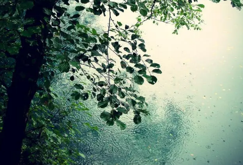 1717910121127752.png image.png