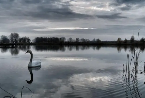 1717910955620346.png image.png