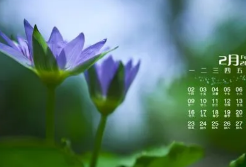 1717911289931465.png image.png