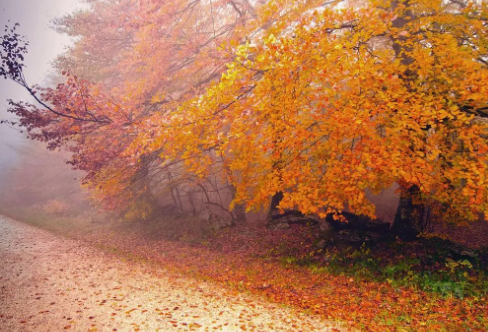 1717913791314347.png image.png