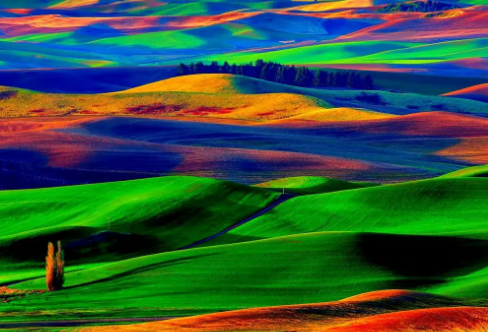 1717914124764760.png image.png