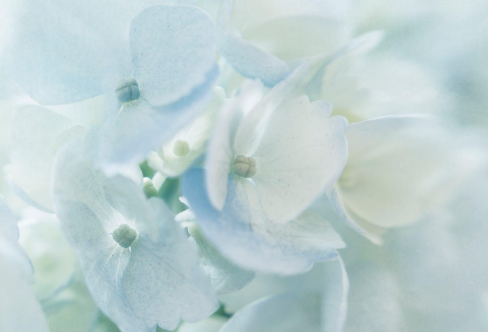 1717916292279104.png image.png