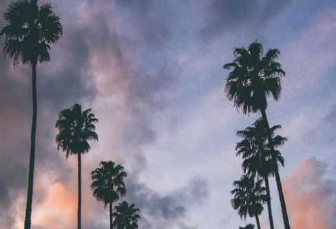 1717918126850609.png image.png