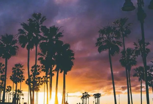 1717920628140025.png image.png