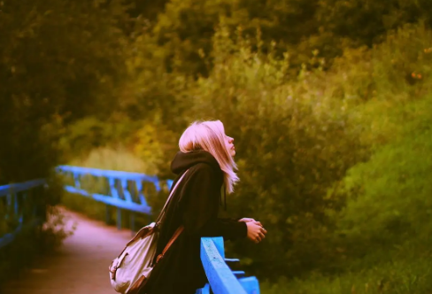 1721731035862098.png image.png