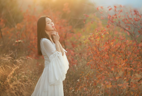 1721733201130166.png image.png